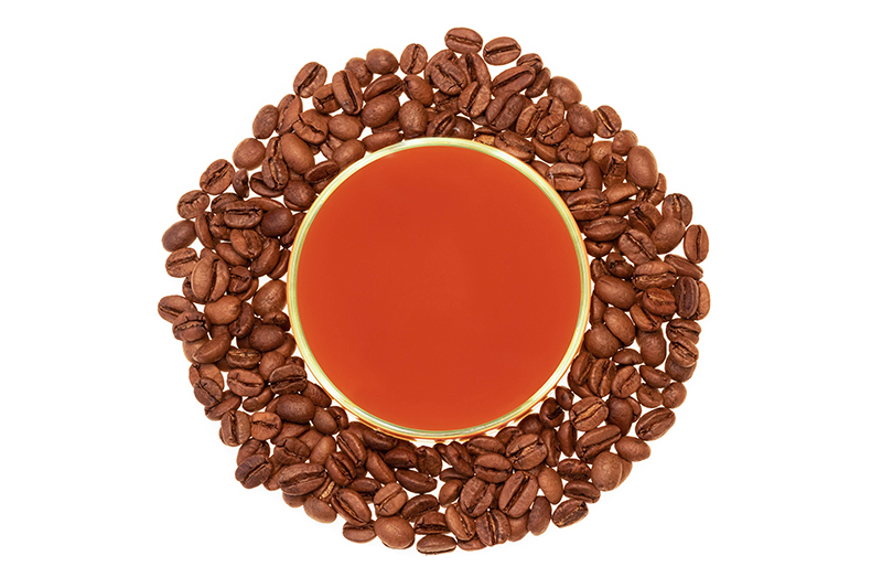 EL SALVADOR Maria Elena Ochoa, Pacamara, Honey, 250g